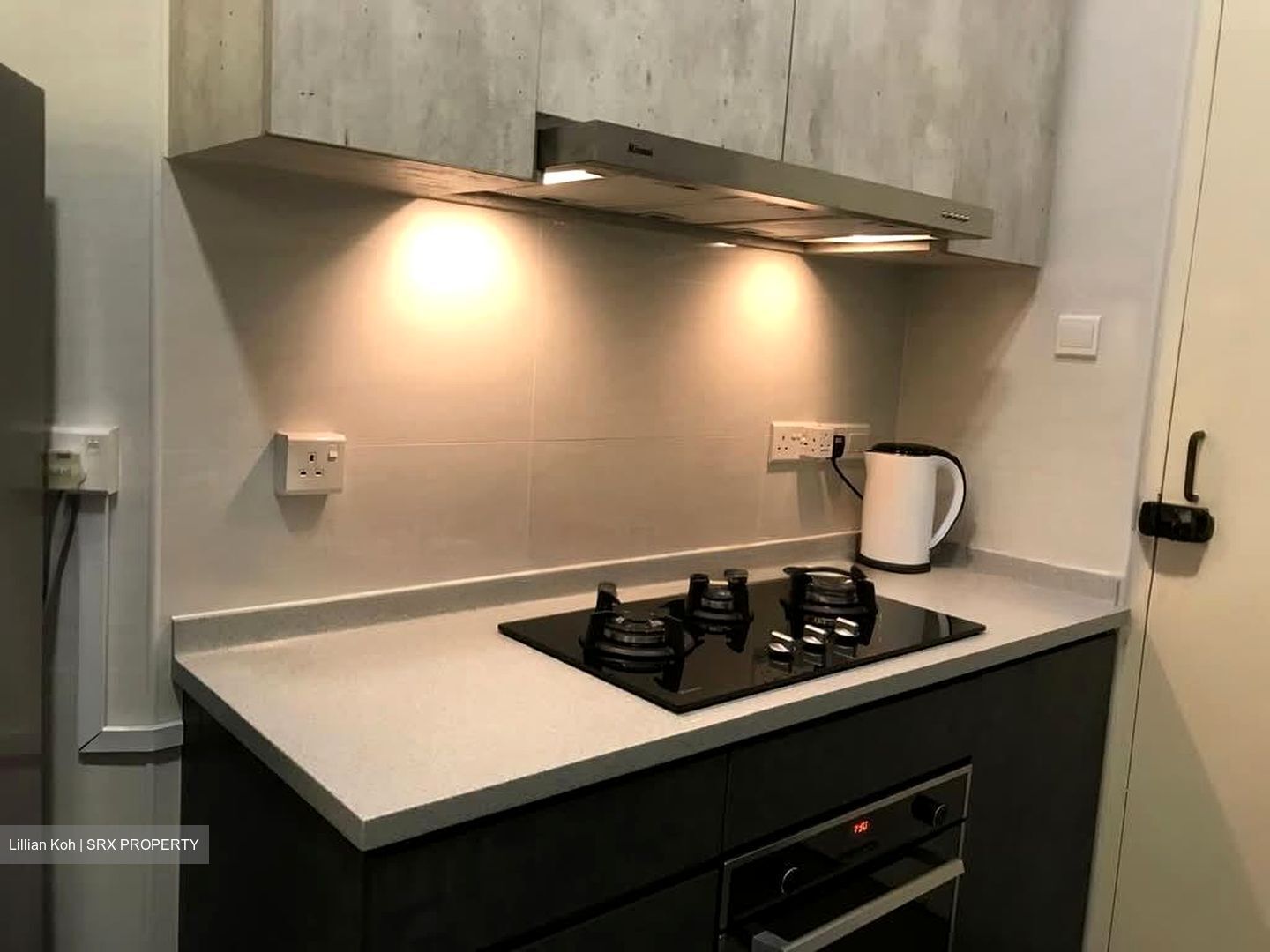 Bayshore Park (D16), Condominium #618858861